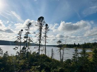 Photo 8: Highway 316 in Isaacs Harbour: 303-Guysborough County Vacant Land for sale (Highland Region)  : MLS®# 202220774
