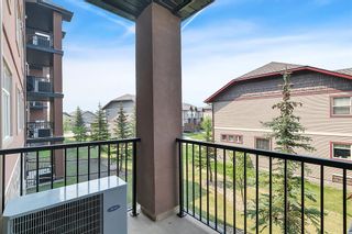Photo 26: 203 69 Ironstone Drive: Red Deer Apartment for sale : MLS®# A2049255