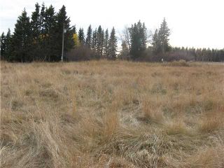 Photo 8: 3 miles east of Sundre in SUNDRE: Rural Mountain View County Rural Land for sale : MLS®# C3590774