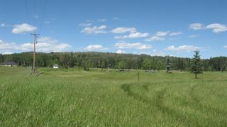 Photo 8: 14 James River Crossing: Rural Clearwater County Residential Land for sale : MLS®# A1224150