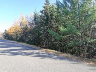 Photo 2: Lot 4 Hiram Lynds Road in North River: 104-Truro / Bible Hill Vacant Land for sale (Northern Region)  : MLS®# 202208623