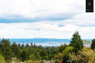 Photo 8: 705 ST. ANDREWS Road in West Vancouver: British Properties House for sale : MLS®# R2835189