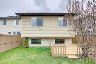 Photo 39: 211 Cranberry Way SE in Calgary: Cranston Detached for sale : MLS®# A1217518