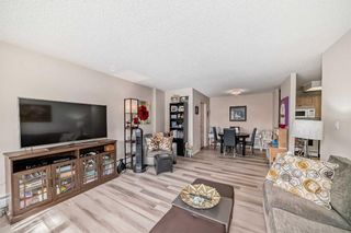 Photo 10: 88E 231 Heritage Drive SE in Calgary: Acadia Apartment for sale : MLS®# A2132710