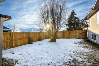 Photo 37: 11 Village Green: Carstairs Detached for sale : MLS®# A2016848