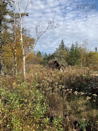 Photo 3: 2225 Dodge Road in Margaretsville: 400-Annapolis County Vacant Land for sale (Annapolis Valley)  : MLS®# 202126475
