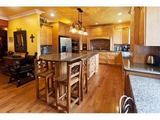 Photo 5: 3813 154a St in Surrey: Morgan Creek House for sale (South Surrey White Rock)  : MLS®# F1400130