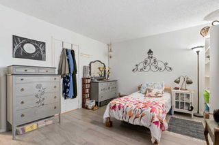 Photo 15: 4538 19 Avenue NW in Calgary: Montgomery Detached for sale : MLS®# A2079871