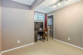 Photo 36: 230 Citadel Crest Green NW in Calgary: Citadel Detached for sale : MLS®# A2081019