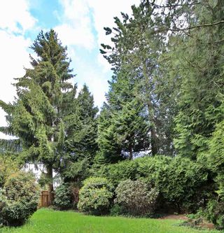 Photo 6: 2955 CAMROSE Drive in Burnaby: Montecito House for sale (Burnaby North)  : MLS®# R2510982