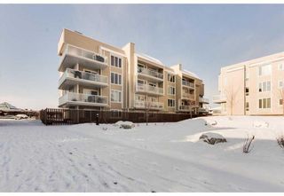 Photo 15: 305 3737 42 Street NW in Calgary: Varsity Apartment for sale : MLS®# A2129816