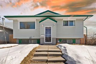 Main Photo: 4164 Doverview Drive SE in Calgary: Dover Detached for sale : MLS®# A2119699