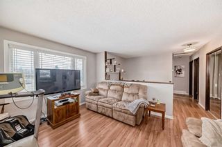 Photo 9: 3816 Dover Ridge Drive SE in Calgary: Dover Detached for sale : MLS®# A2124560