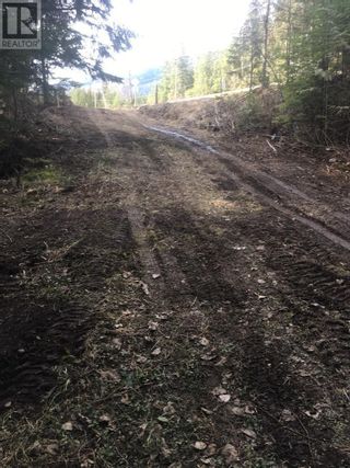 Photo 26: 7788 Trans Canada Highway in Revelstoke: Vacant Land for sale : MLS®# 10273662