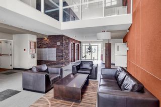 Photo 41: 339 2727 28 Avenue SE in Calgary: Dover Apartment for sale : MLS®# A2031901