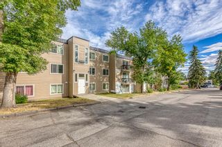 Photo 23: 309 315 HERITAGE Drive SE in Calgary: Acadia Apartment for sale : MLS®# A1029612