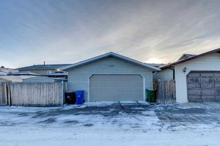 Photo 36: 20 Bedwood Crescent NE in Calgary: Beddington Heights Detached for sale : MLS®# A2099844