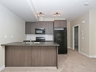 Photo 29: 140 300 Marina Drive: Chestermere Apartment for sale : MLS®# A1224918