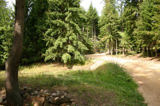 Photo 25: 11 6432 Sunnybrae Road in Tappen: Steamboat Shores Vacant Land for sale (Shuswap Lake)  : MLS®# 10155187