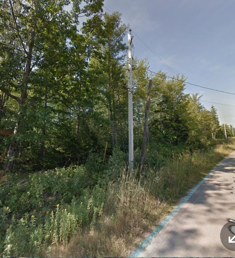 Main Photo: Lot 85-1 Cloverdale Road in East Stewiacke: 104-Truro/Bible Hill/Brookfield Vacant Land for sale (Northern Region)  : MLS®# 202103288