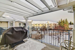 Photo 23: 306 2144 Paliswood Road SW in Calgary: Palliser Apartment for sale : MLS®# A1187482