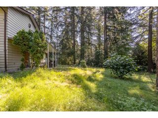 Photo 16: 13458 58 Avenue in Surrey: Panorama Ridge House for sale : MLS®# R2478163