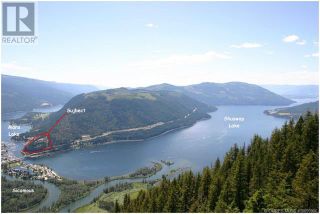 Photo 1: 500 Old Spallumcheen Road, in Sicamous: Vacant Land for sale : MLS®# 10283151