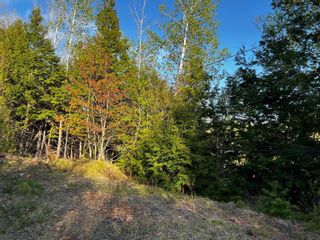 Photo 10: 6.37 acres Highway 4 in Pine Tree: 108-Rural Pictou County Vacant Land for sale (Northern Region)  : MLS®# 202303532