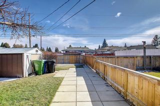 Photo 44: 11 Maryvale Place NE in Calgary: Marlborough Detached for sale : MLS®# A1207159