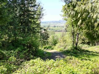 Photo 18: 39730 OLD YALE Road in Abbotsford: Sumas Prairie Land for sale : MLS®# R2877038