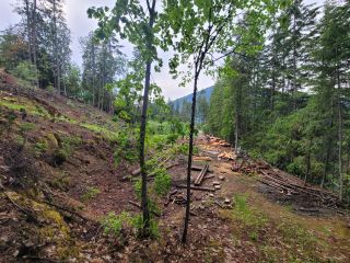 Photo 3: LOT 8 BALFOUR AVENUE in Kaslo: Vacant Land for sale : MLS®# 2471851