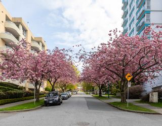 Photo 28: 302 1406 HARWOOD Street in Vancouver: West End VW Condo for sale in "Julia Court" (Vancouver West)  : MLS®# R2901606