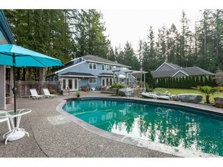 Photo 5: 2027 204A Street in Langley: Brookswood Langley House for sale : MLS®# R2490874