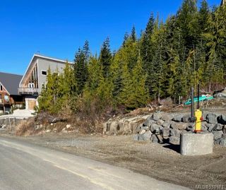 Photo 5: 990 Cruikshank Ridge in Courtenay: CV Mt Washington Land for sale (Comox Valley)  : MLS®# 930171
