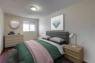 Photo 10: 339 165 Manora Place NE in Calgary: Marlborough Park Apartment for sale : MLS®# A1226923