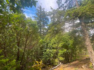Photo 28: Lot 11 DISTRICT LOT 71 AND 77: Galiano Island Land for sale (Islands-Van. & Gulf)  : MLS®# R2871792