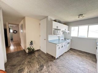 Photo 22: 5116 8 Avenue SE in Calgary: Forest Heights Detached for sale : MLS®# A2131841