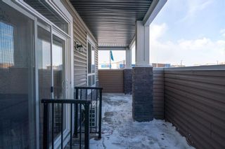 Photo 26: 119 30 Walgrove Walk SE in Calgary: Walden Apartment for sale : MLS®# A2032773