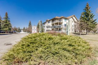 Photo 26: 3103 20 Harvest Rose Park NE in Calgary: Harvest Hills Apartment for sale : MLS®# A2045350