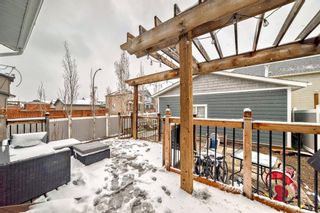 Photo 38: 1709 Legacy Circle SE in Calgary: Legacy Detached for sale : MLS®# A2123983