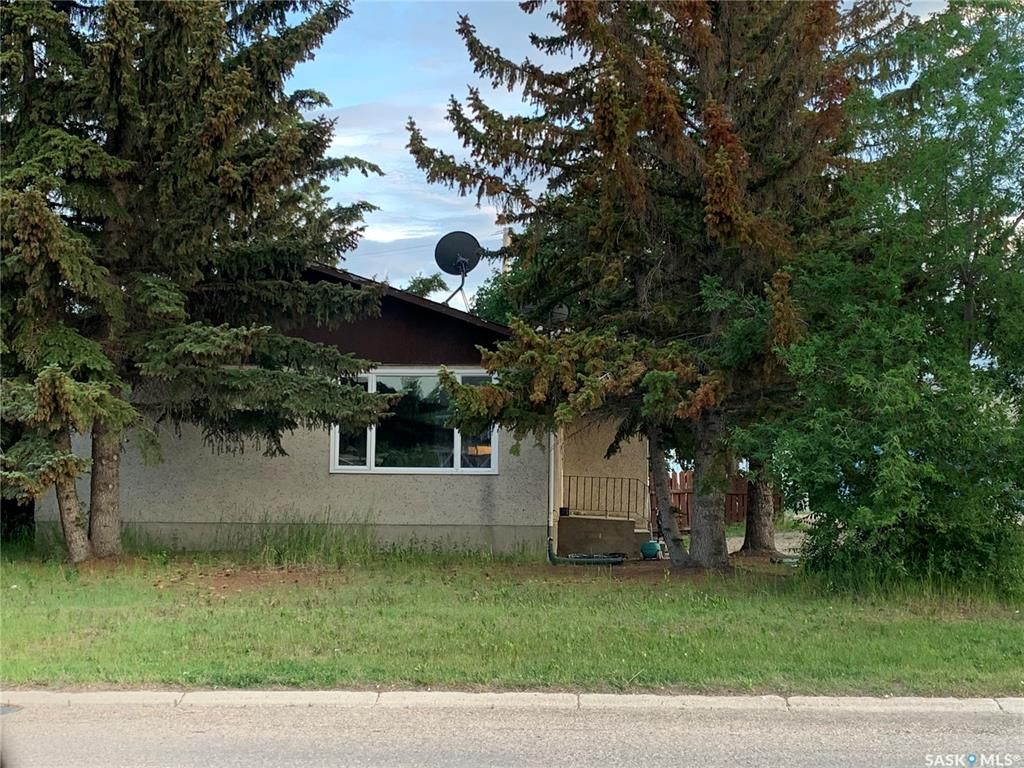 Main Photo: 101 4th Avenue East in Watrous: Residential for sale : MLS®# SK904306