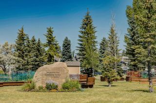 Photo 36: 165 Mt Lorette Place SE in Calgary: McKenzie Lake Detached for sale : MLS®# A2117602
