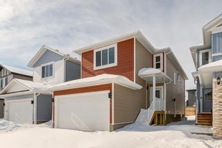 Photo 24: 447 Bayview Way SW: Airdrie Detached for sale : MLS®# A2030474