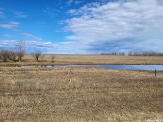 Photo 6: Radisson 158 acres Pastureland (Que) in Great Bend: Farm for sale (Great Bend Rm No. 405)  : MLS®# SK965878