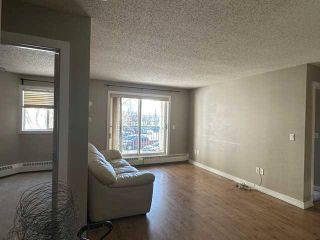 Photo 3: 205 21 Dover Point SE in Calgary: Dover Apartment for sale : MLS®# A2129149