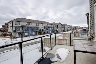 Photo 49: 33 Williamstown Park NW: Airdrie Detached for sale : MLS®# A1056206