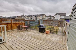 Photo 28: 302 CHAPARRAL VALLEY Drive SE in Calgary: Chaparral Semi Detached for sale : MLS®# A1092701