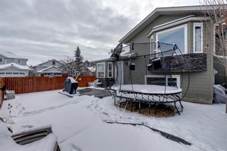 Photo 43: 112 Sunlake Circle SE in Calgary: Sundance Detached for sale : MLS®# A1182136