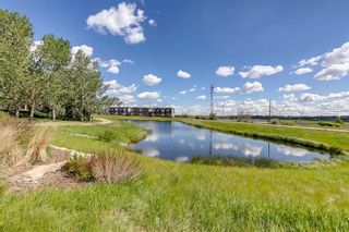 Photo 44: 78 Harvest Grove Common NE in Calgary: Harvest Hills Semi Detached (Half Duplex) for sale : MLS®# A2143024