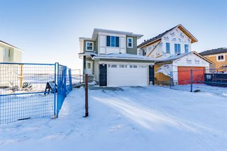 Photo 42: 163 Chelsea Grove: Chestermere Detached for sale : MLS®# A2015586